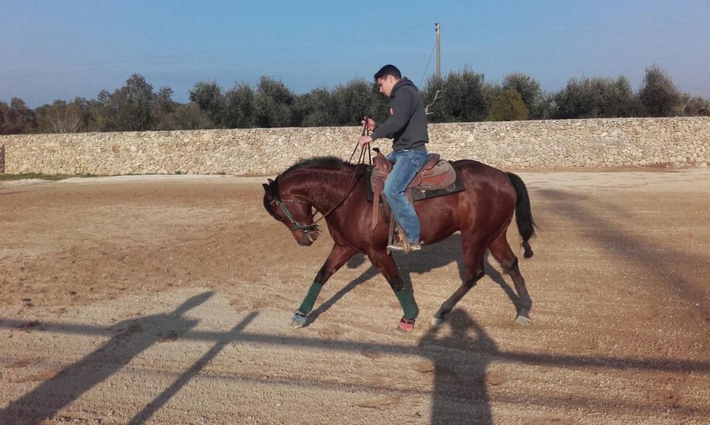 Masseria Sucea Martano Dış mekan fotoğraf